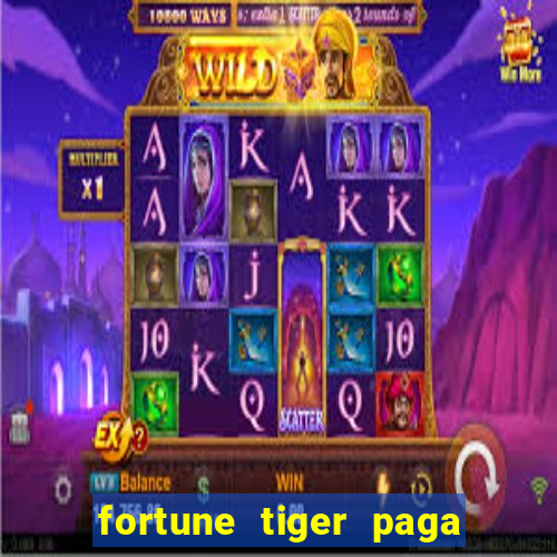 fortune tiger paga de madrugada